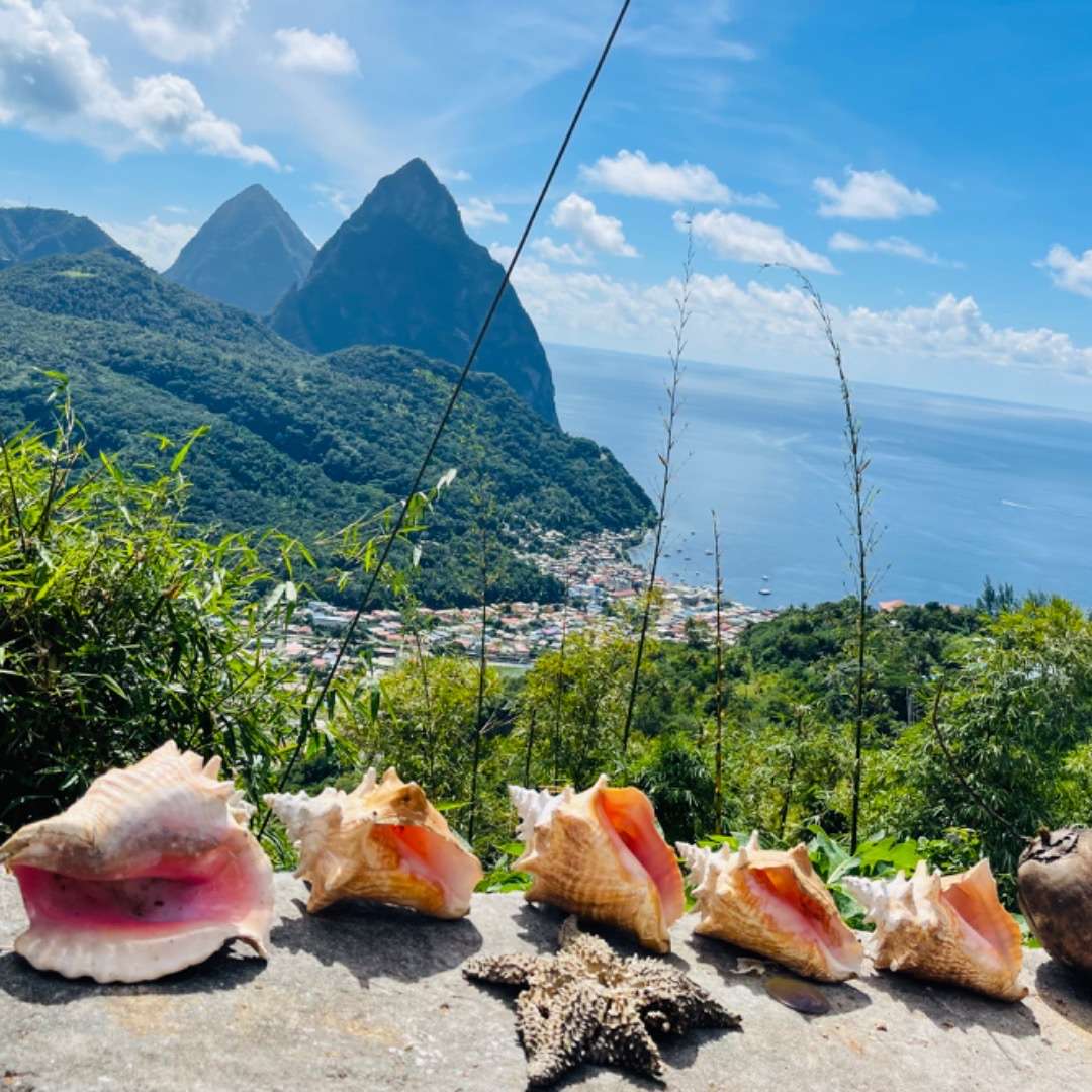 Shells and starfish in foreground; mountains in background